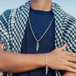 • عرض 2 سلسلة و أنسيال فلسطين
